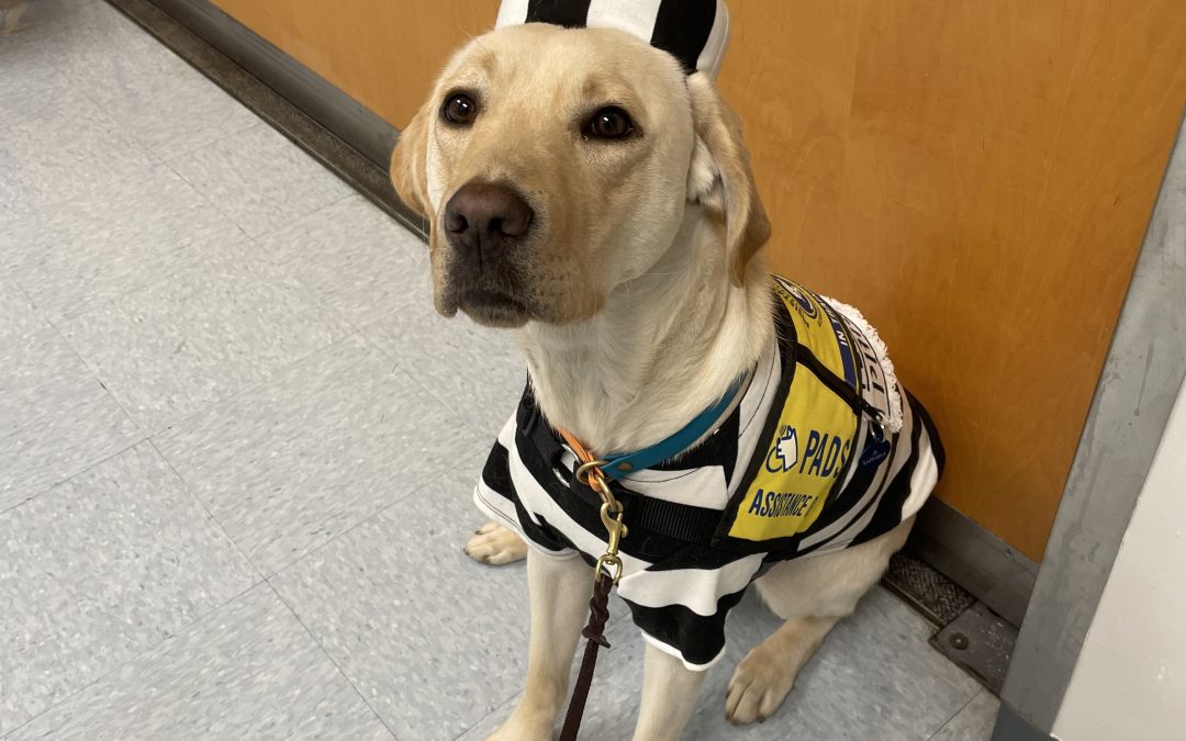 Saphira | October 2025