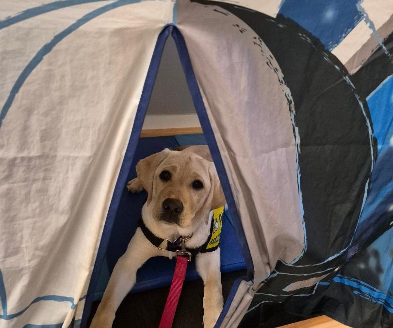 Seven II | November 2025