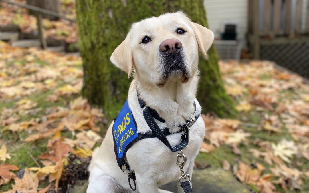 Bumble | November 2025