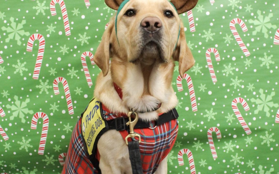 Casper | December 2025