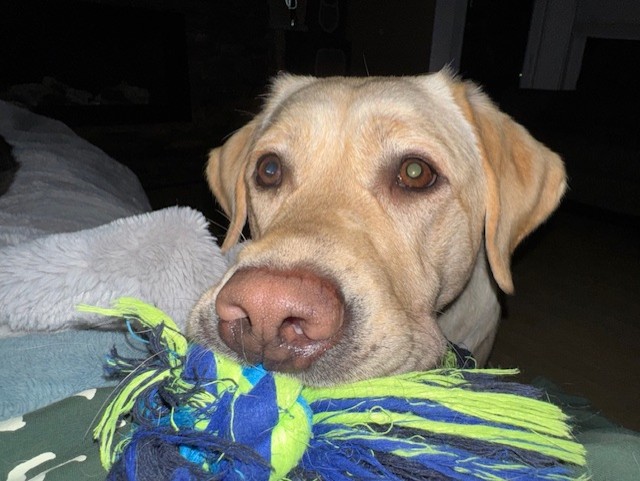 Myra | November 2025