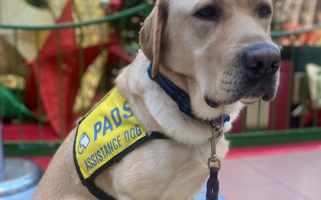 Marsh II | November 2025