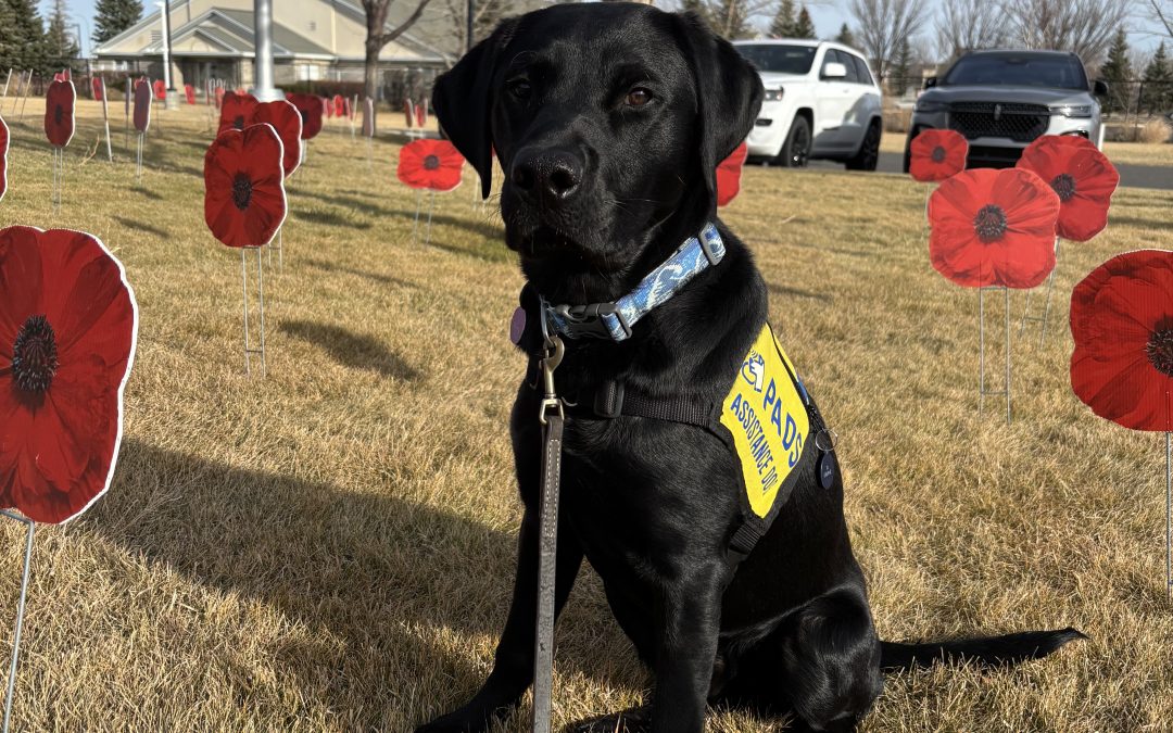 Doane | November 2025