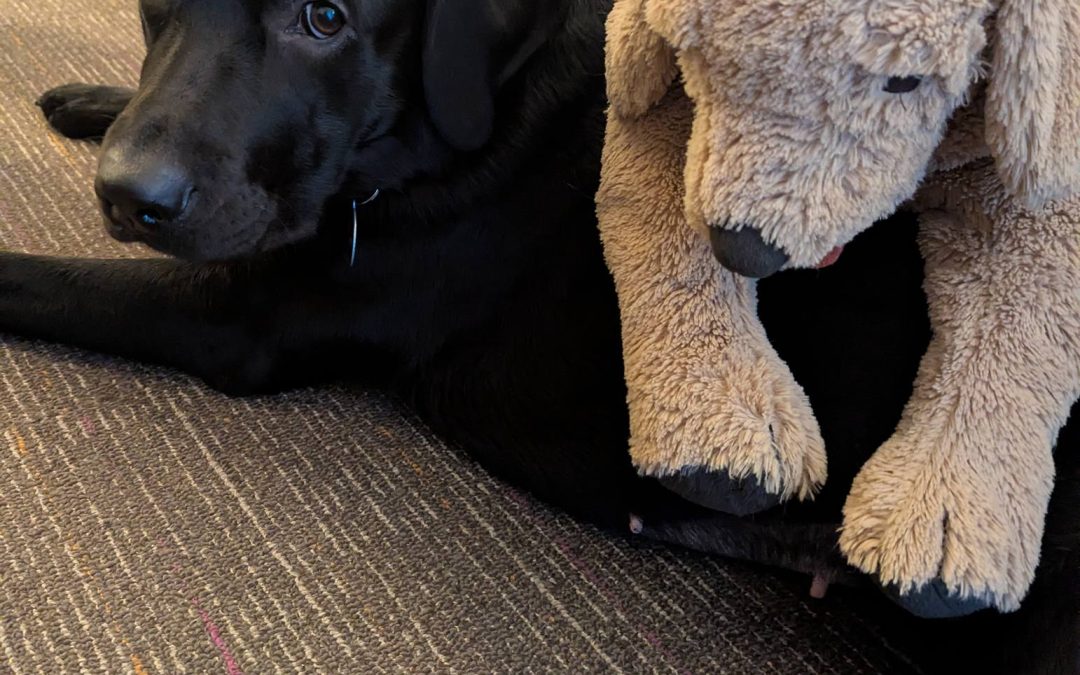 Zephyr II | December 2025