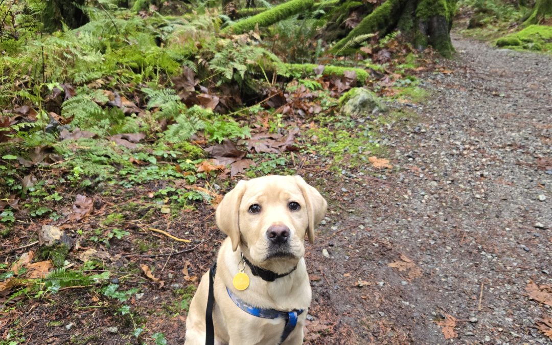 Glover | December 2025