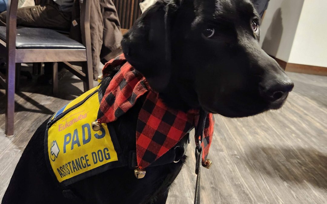 Kiyoko | December 2025