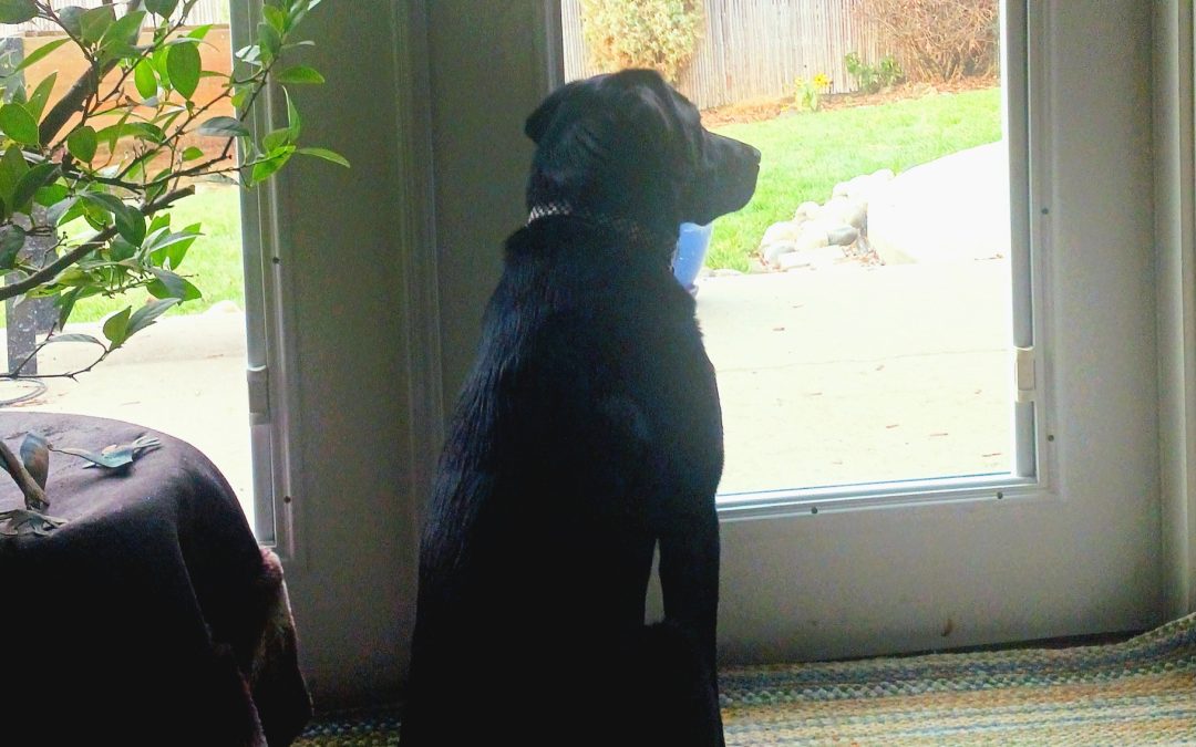 Donora | December 2025