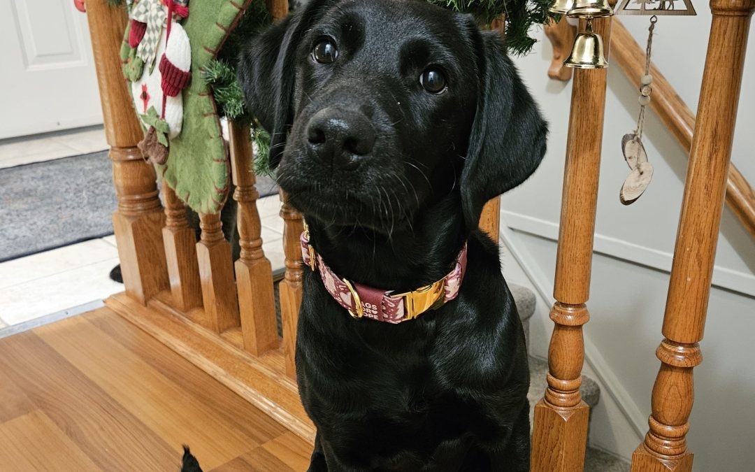 Maren | December 2025