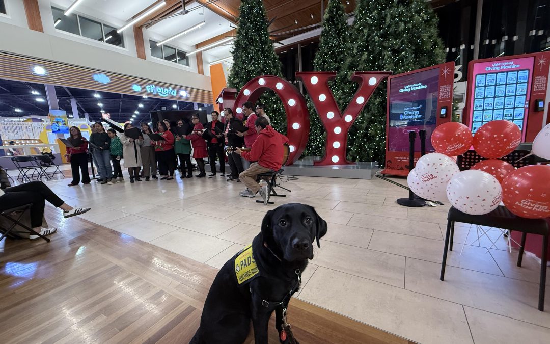 Chickpea | December 2025