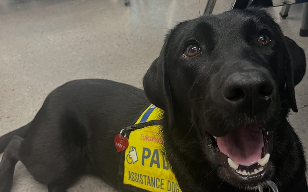 Libby II | October 2025