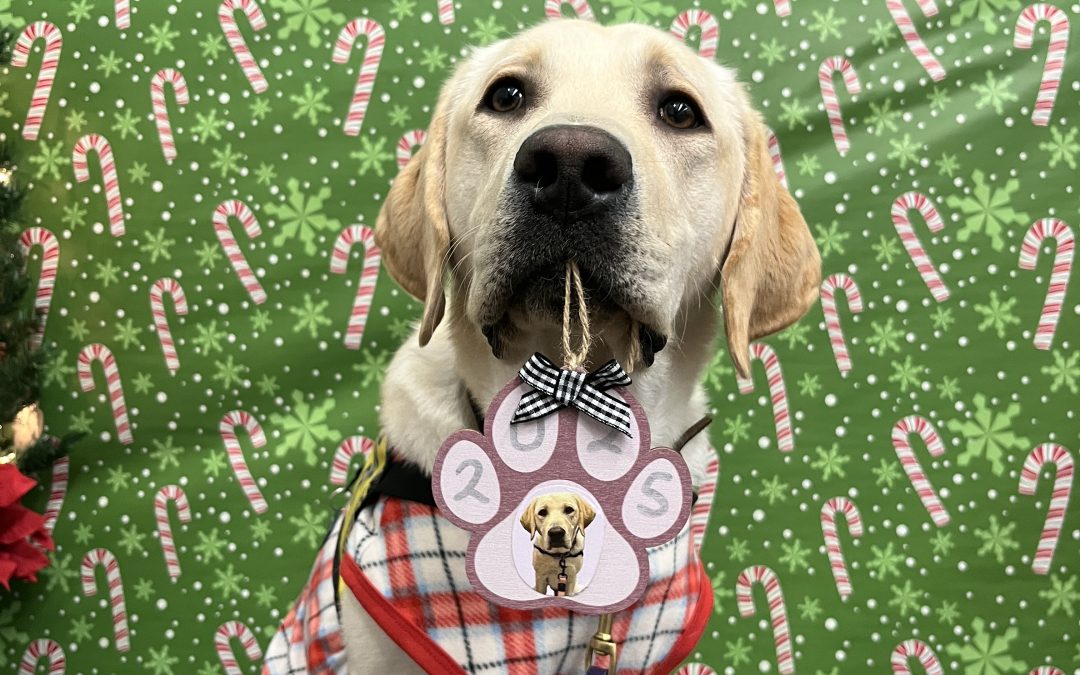 Blanco | December 2025