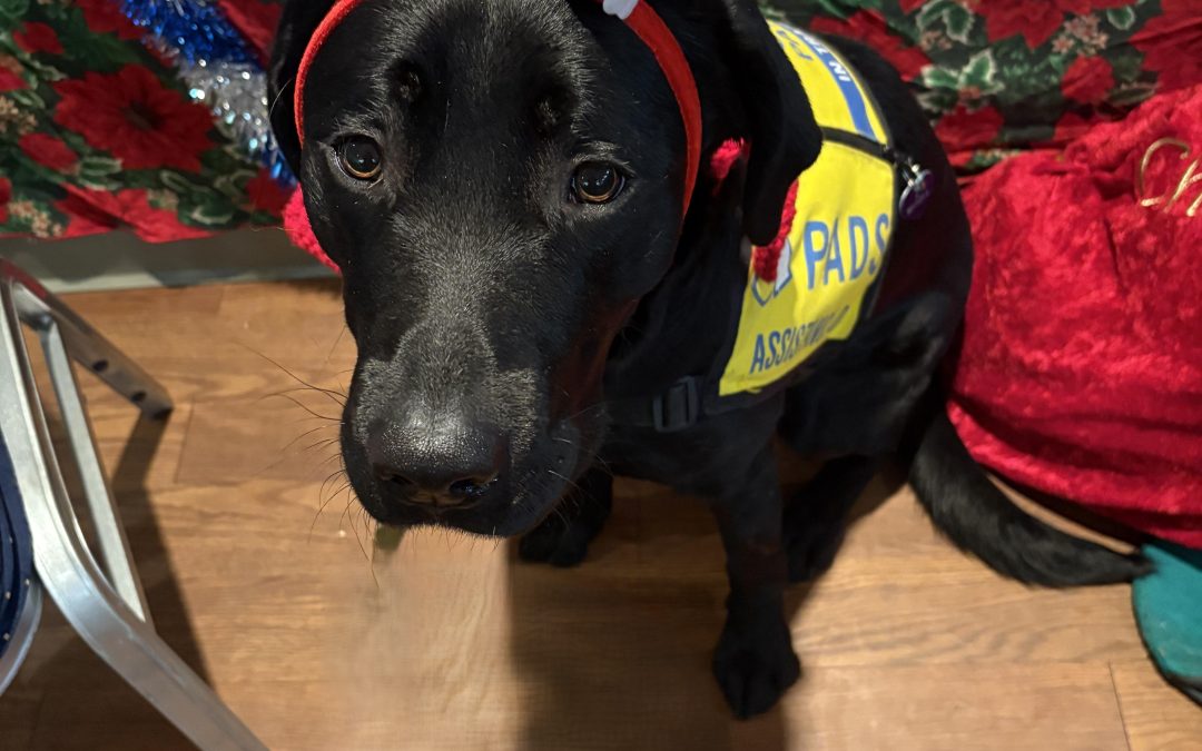 Bentley II | December 2025