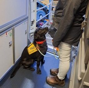 Billie II | December 2025