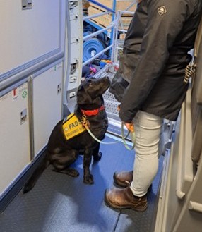 Billie II | December 2025