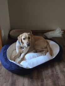 Bowden | December 2025