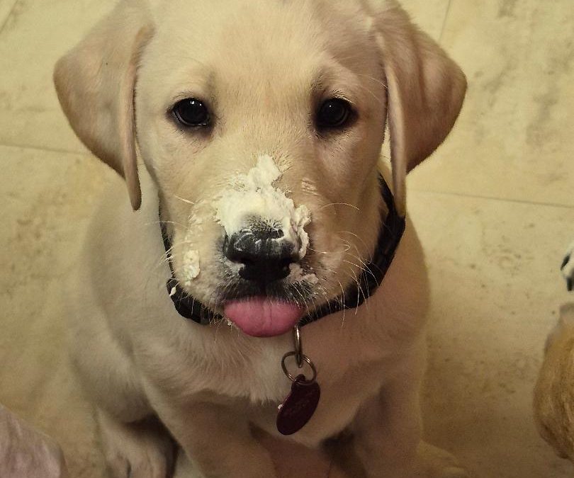 Chilko | December 2025