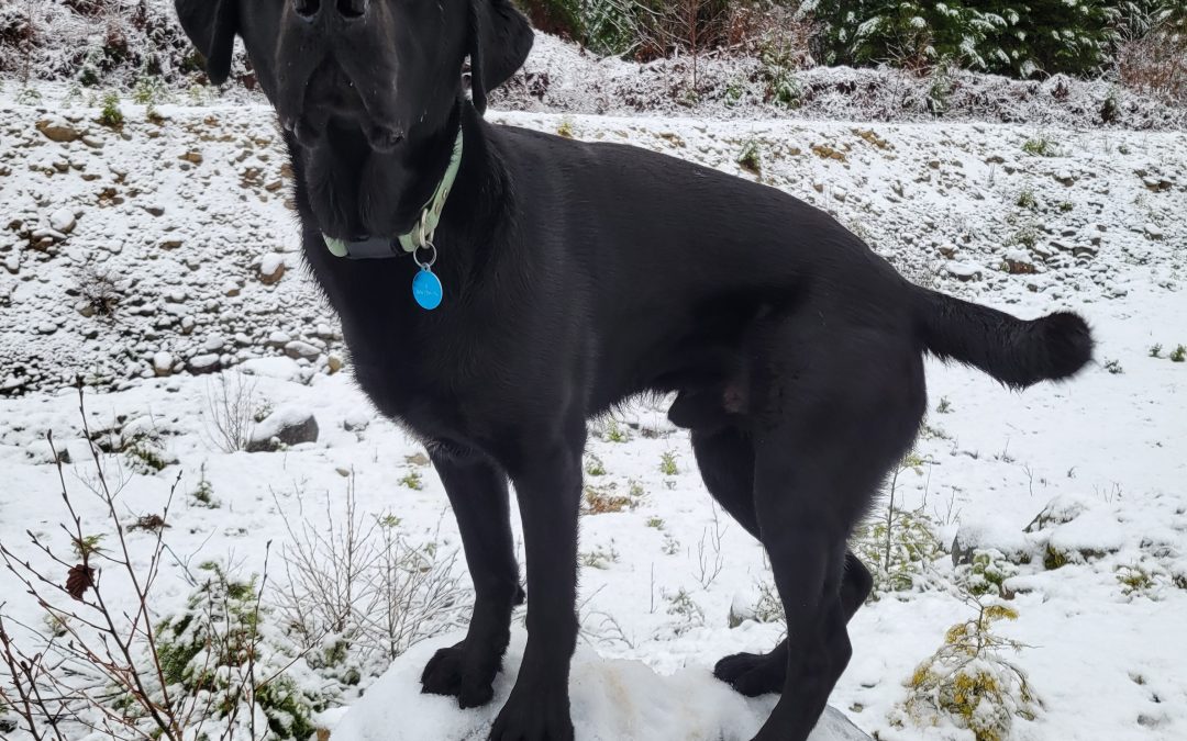 Baldwin | December 2025