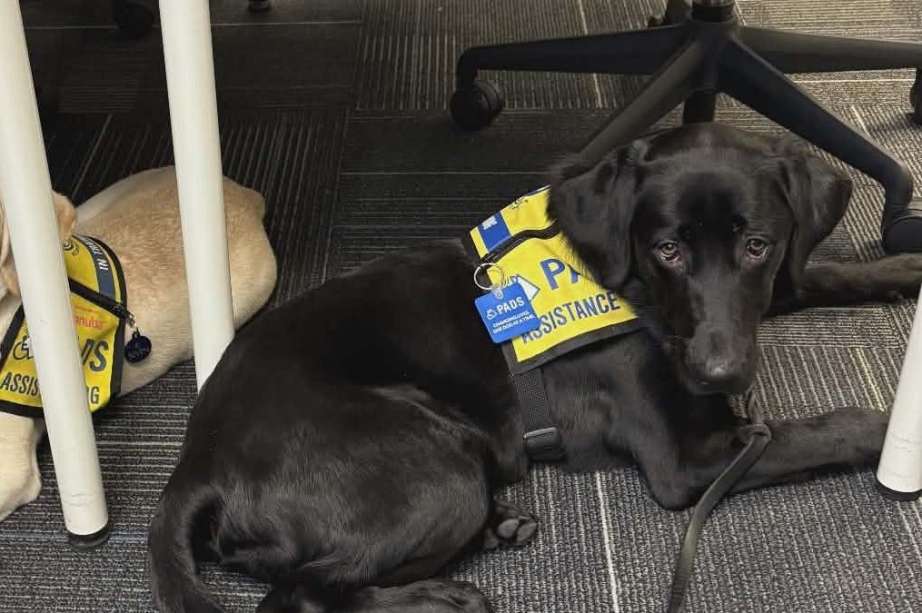 Dot II | December 2025