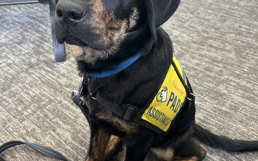 Eddie III | December 2025