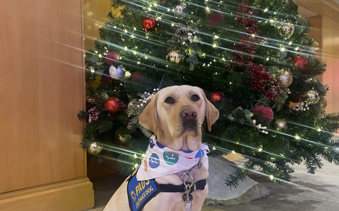 Quinoa | December 2025