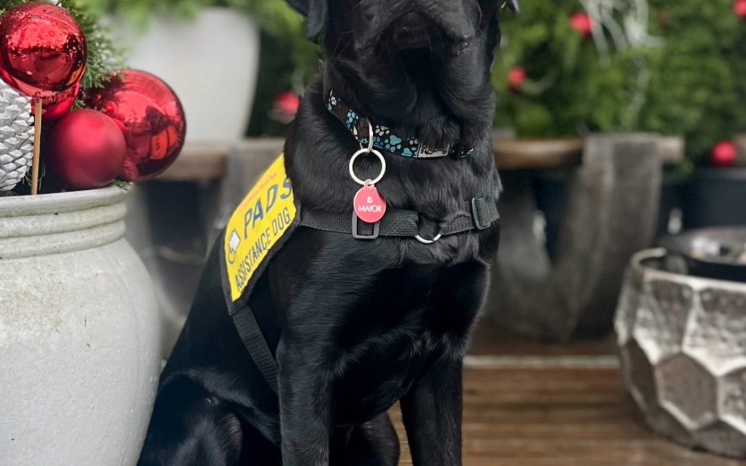 Major | December 2025