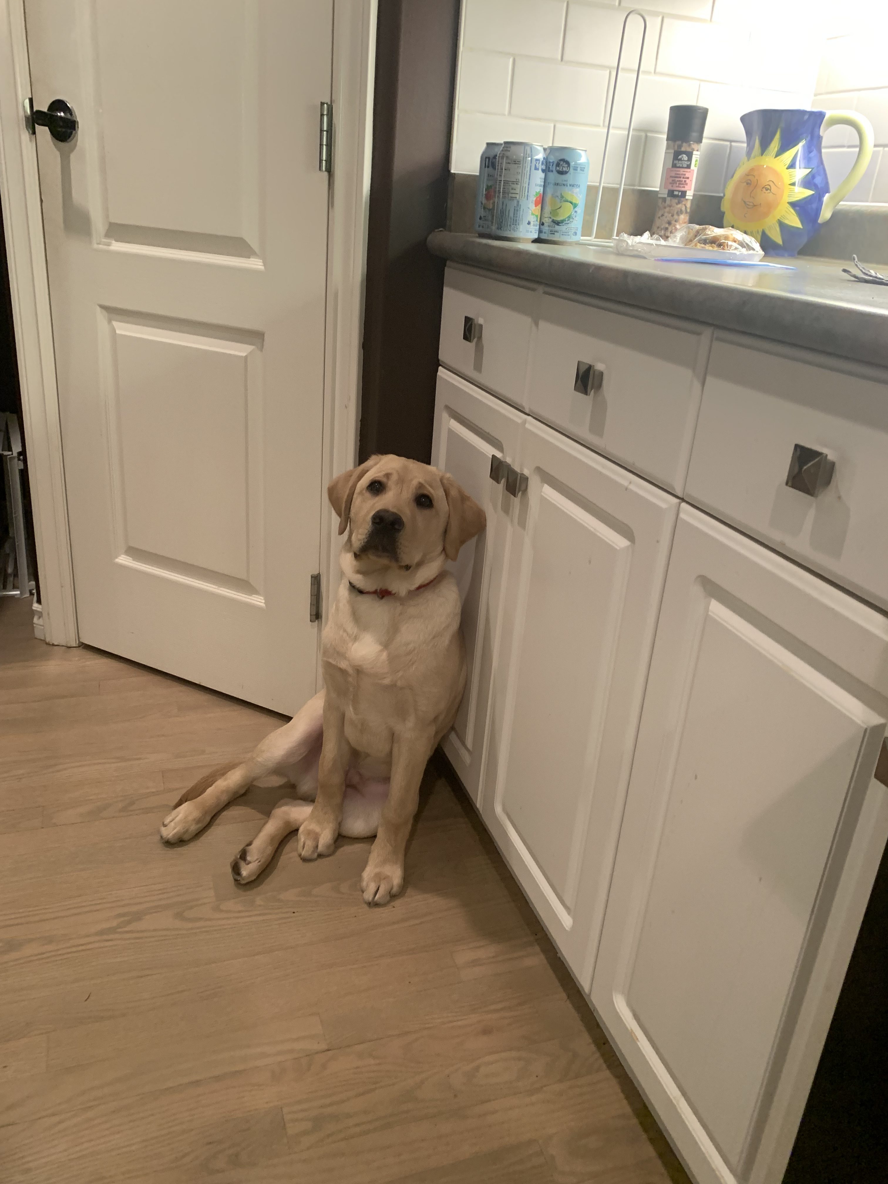 Jasper III | December 2025