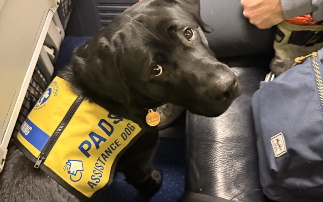 Bromley | December 2025