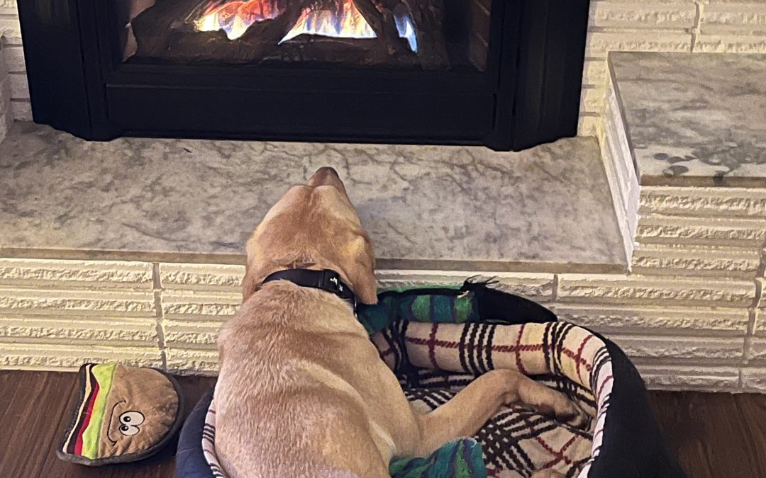 Allen | December 2025