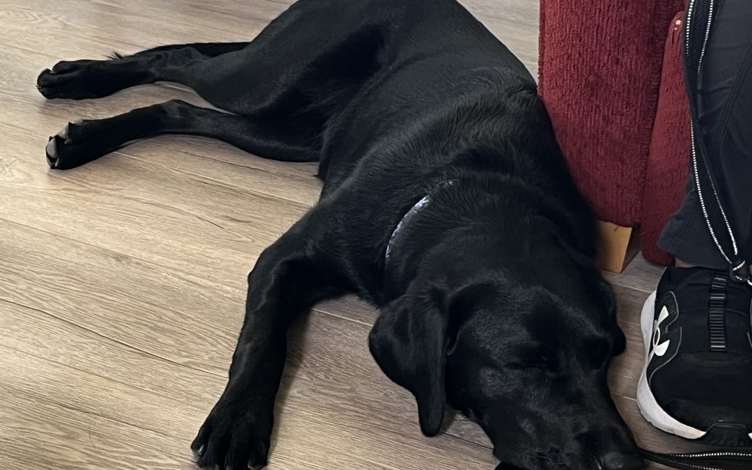 Libby II | September 2025