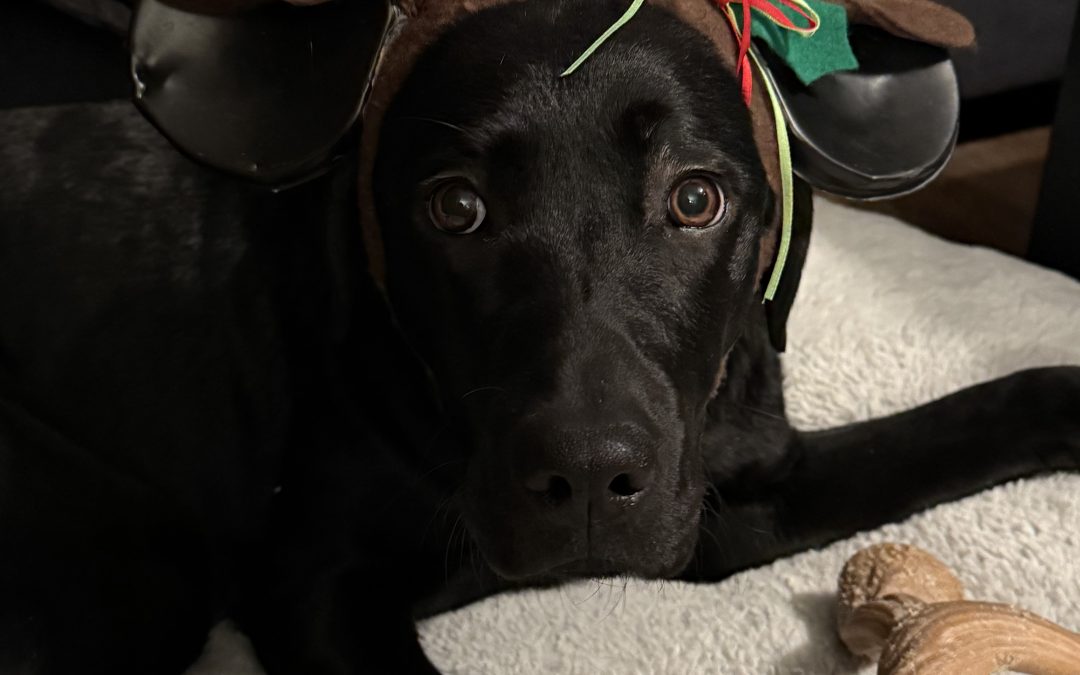 Brandy | December 2025