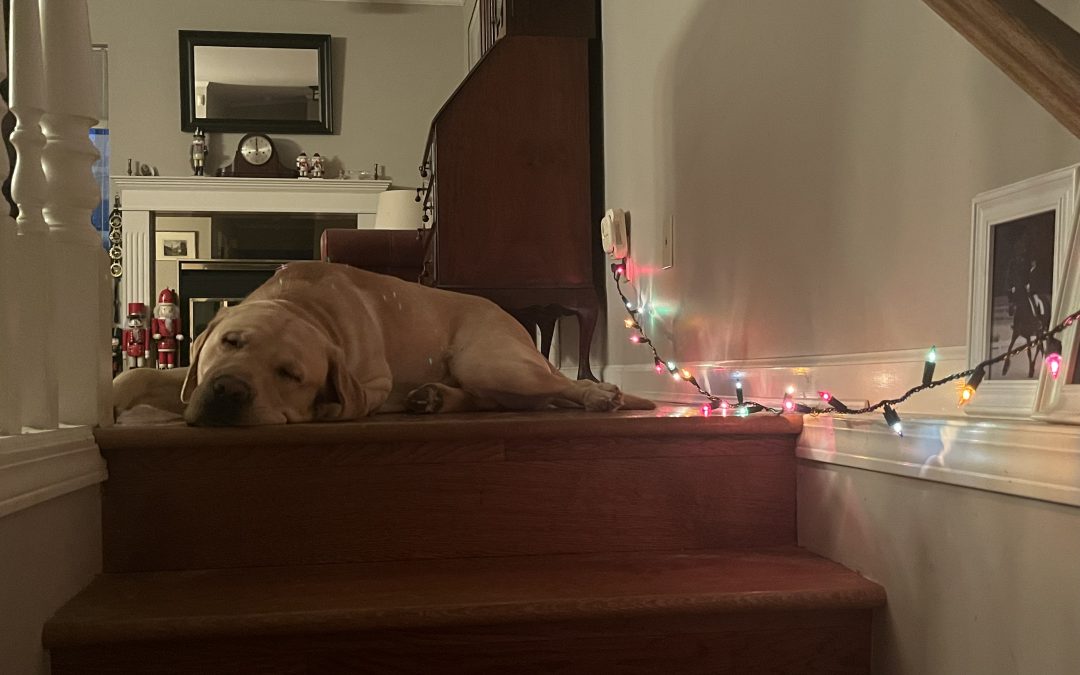 Casey | December 2025