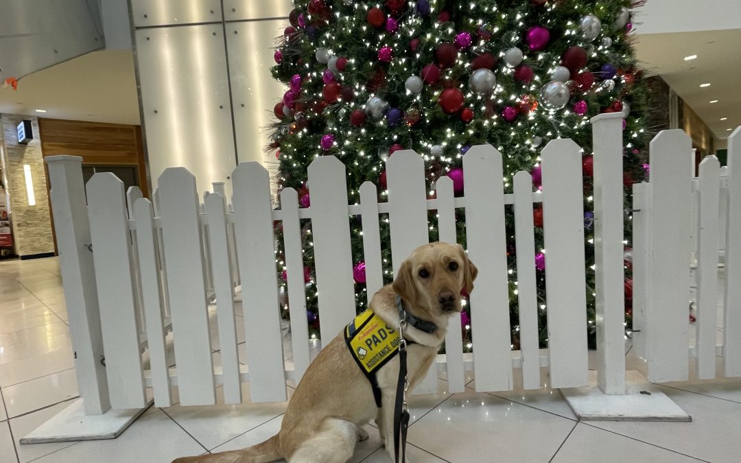 Korra | December 2025