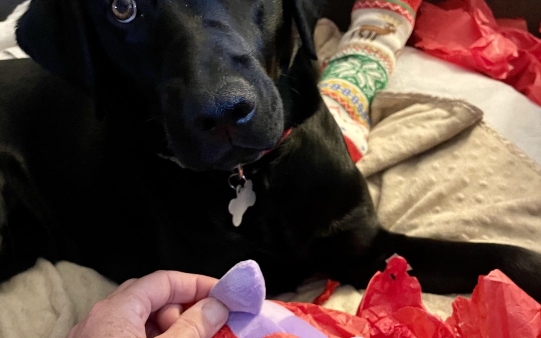 Shyloh | December 2025