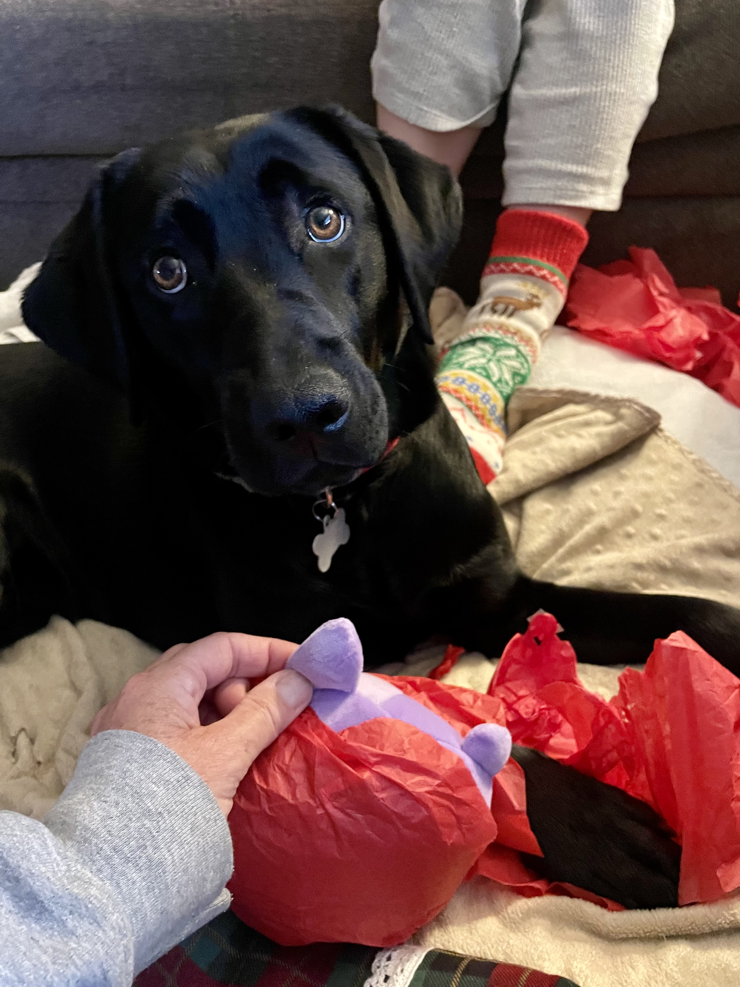 Shyloh | December 2025