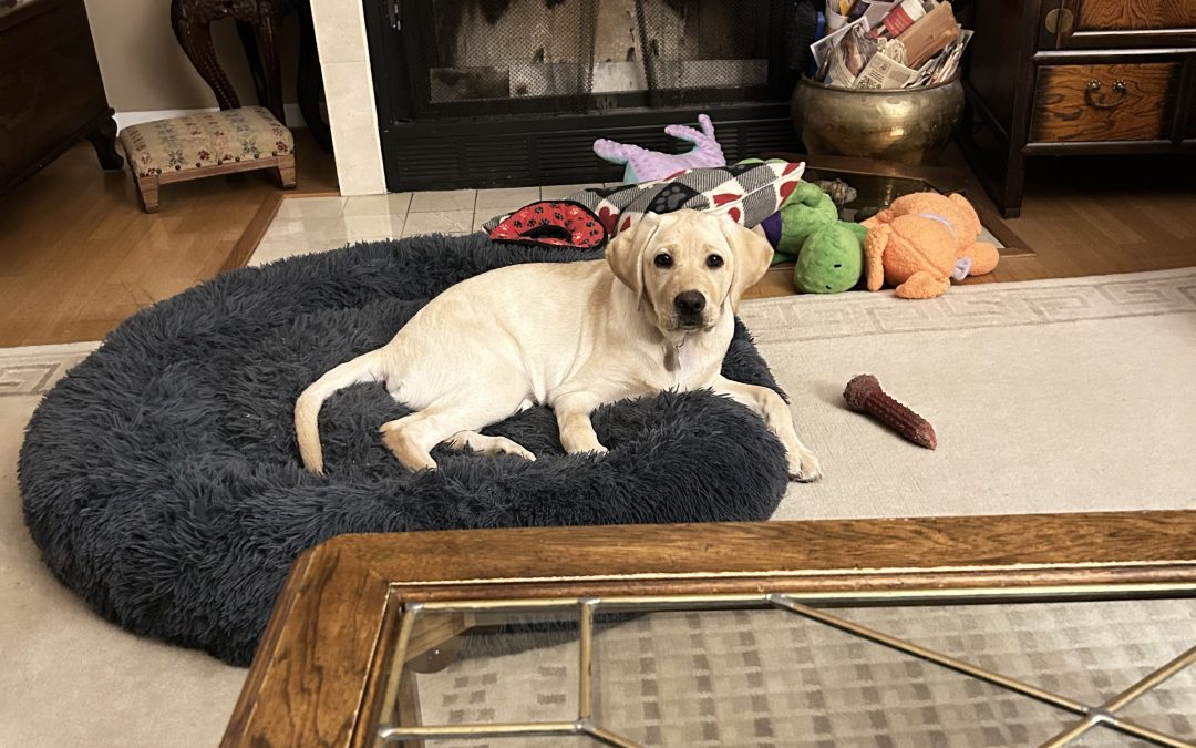 Seven II | December 2025