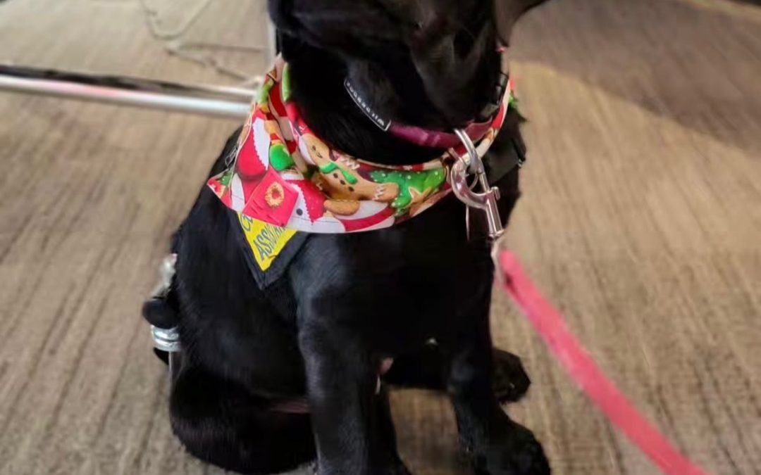 Holly | December 2025