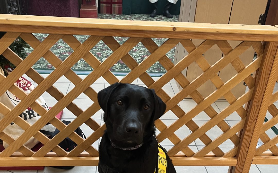 Libby II | December 2025