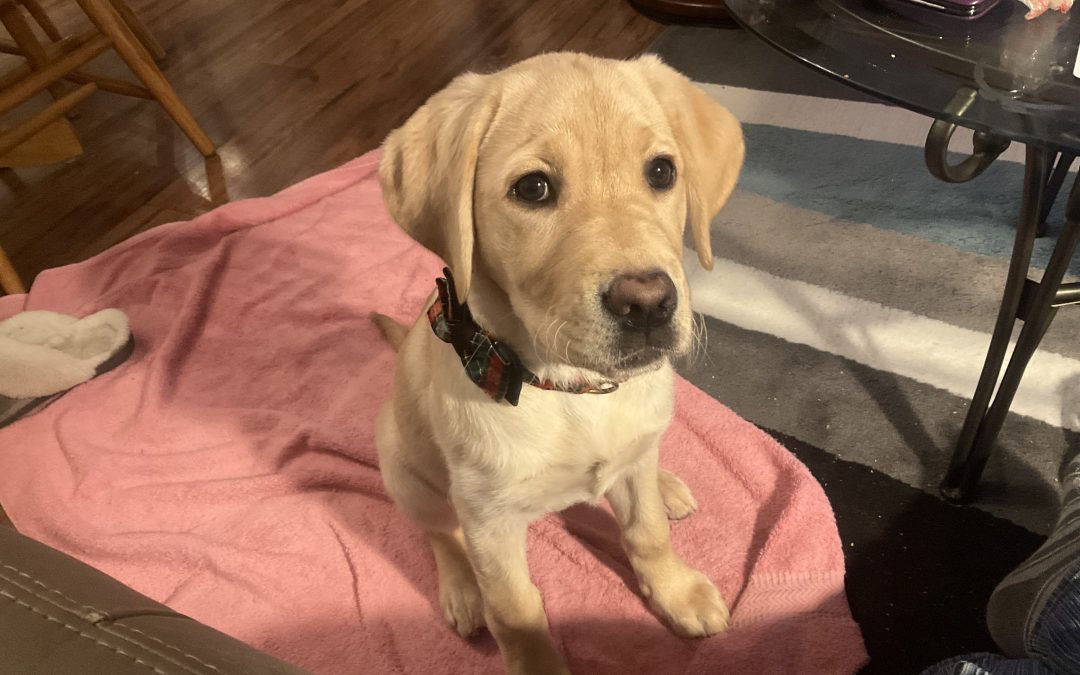 Royal II | December 2025