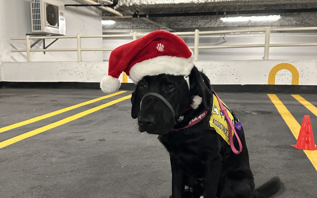 Arthur | December 2025