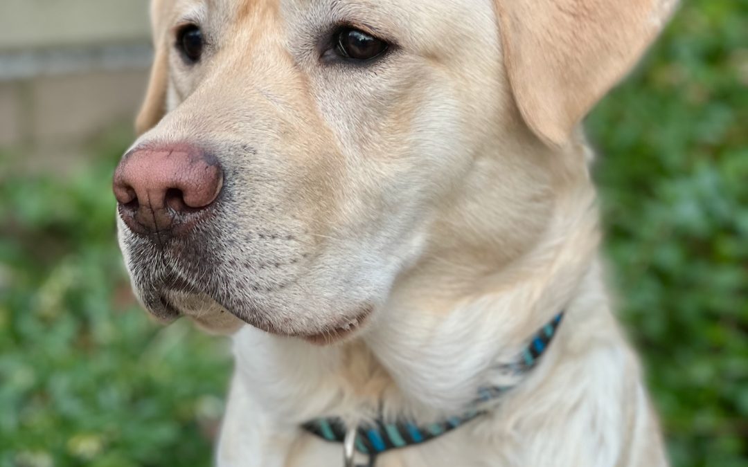 Bumble | December 2025