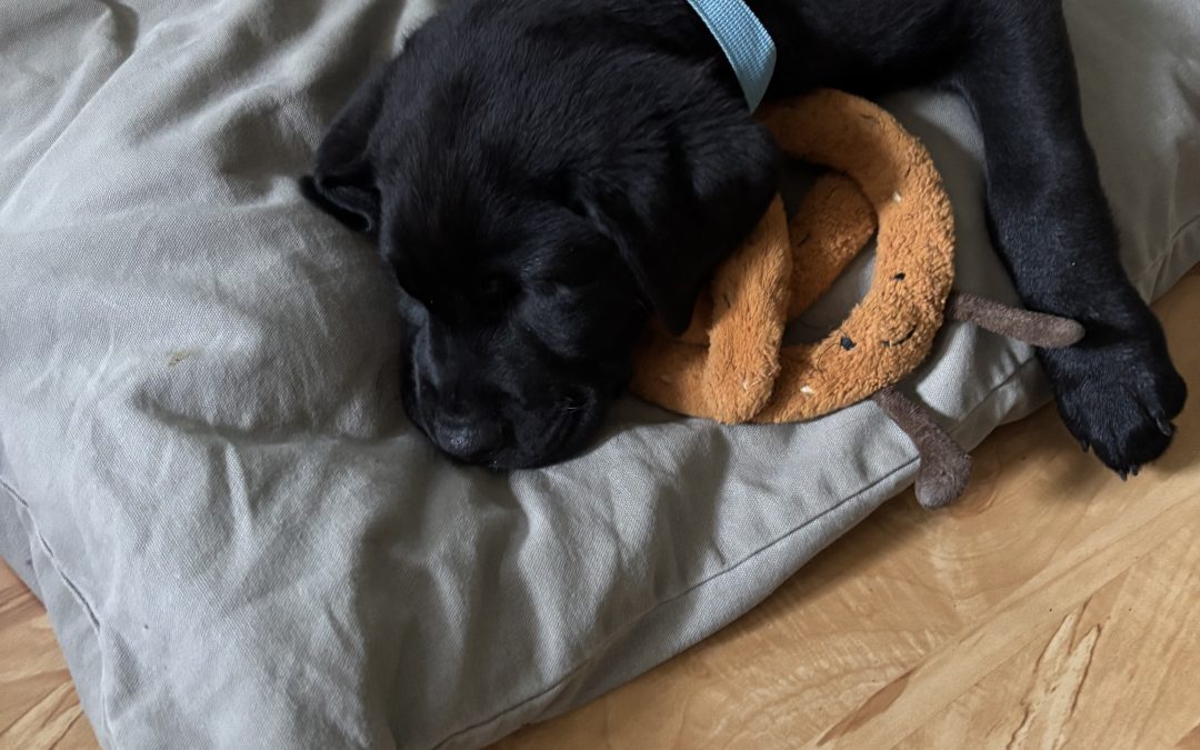 Nolan | December 2025