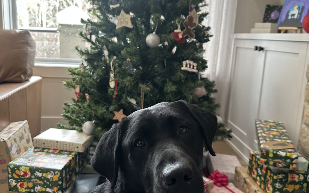 Chet | December 2025