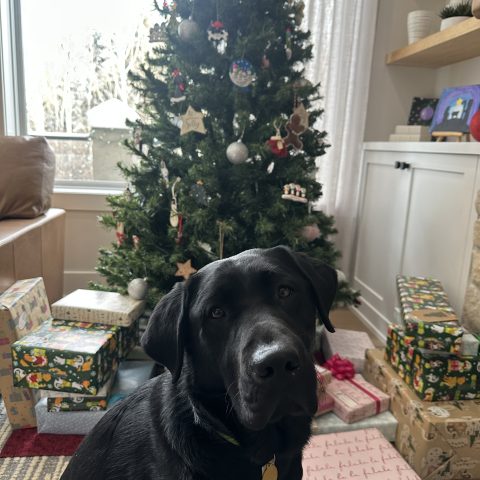 Chet | December 2025