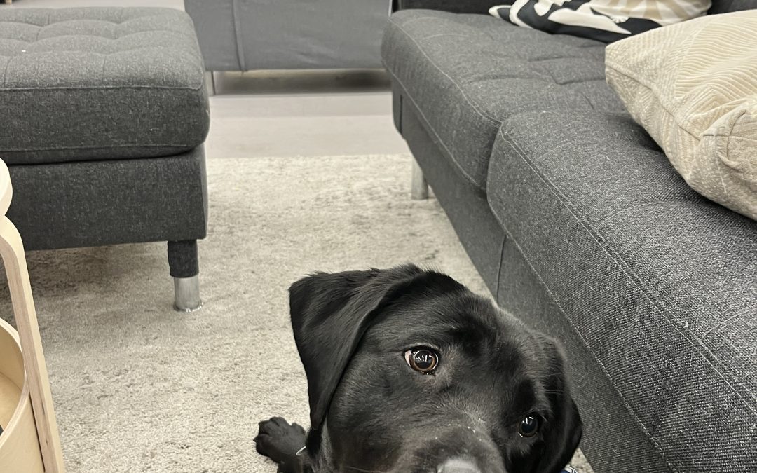 Sparx | November 2025