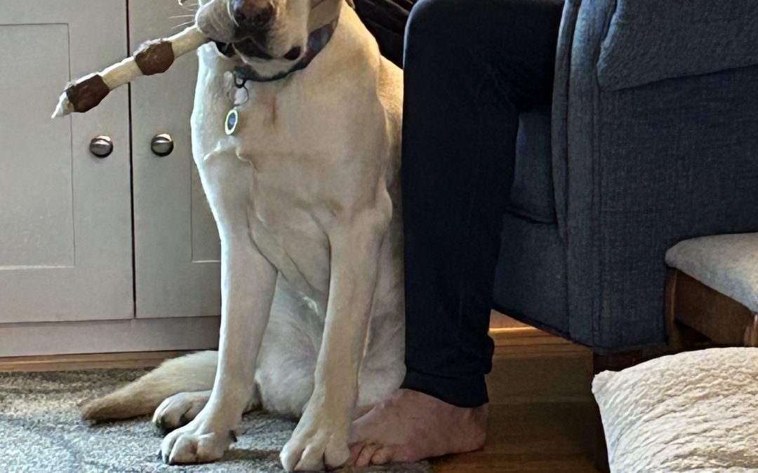 Captain | December 2025