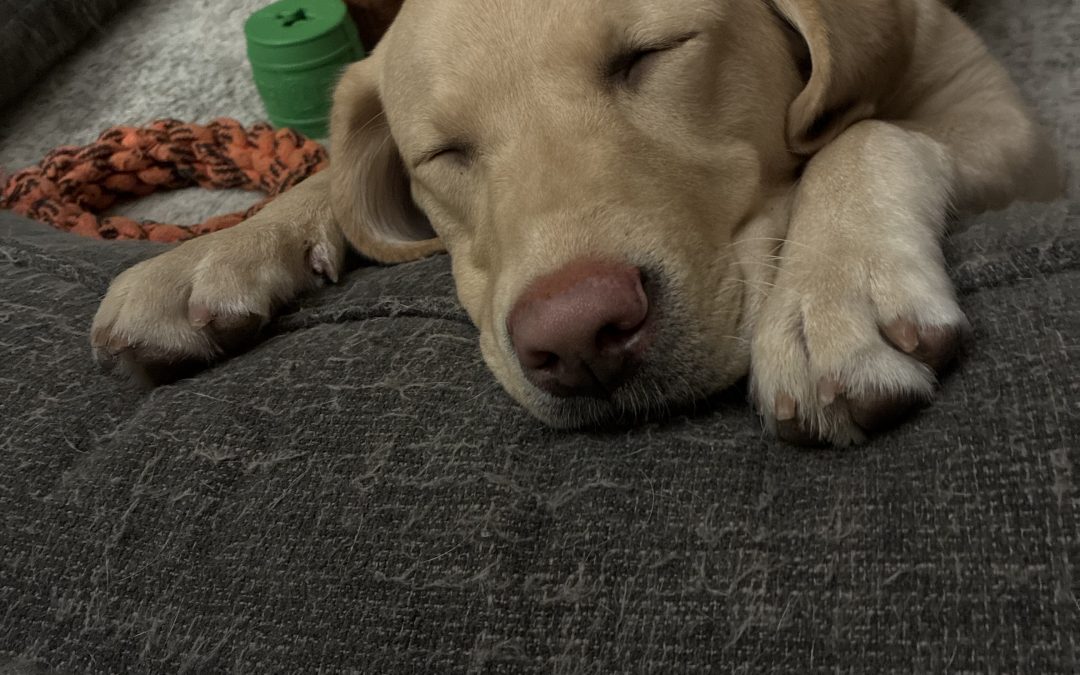 Andie | January 2026