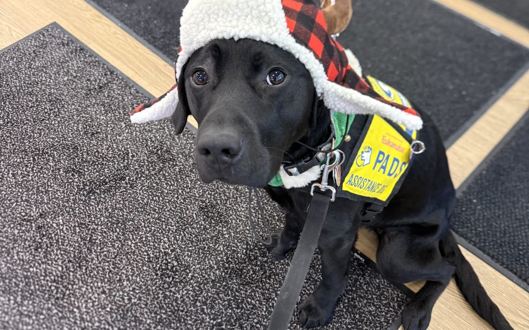 Vaseux | December 2025