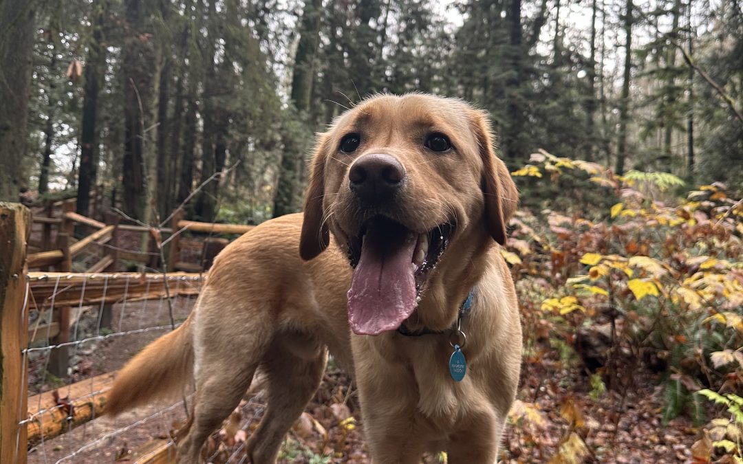 Zuko | December 2025