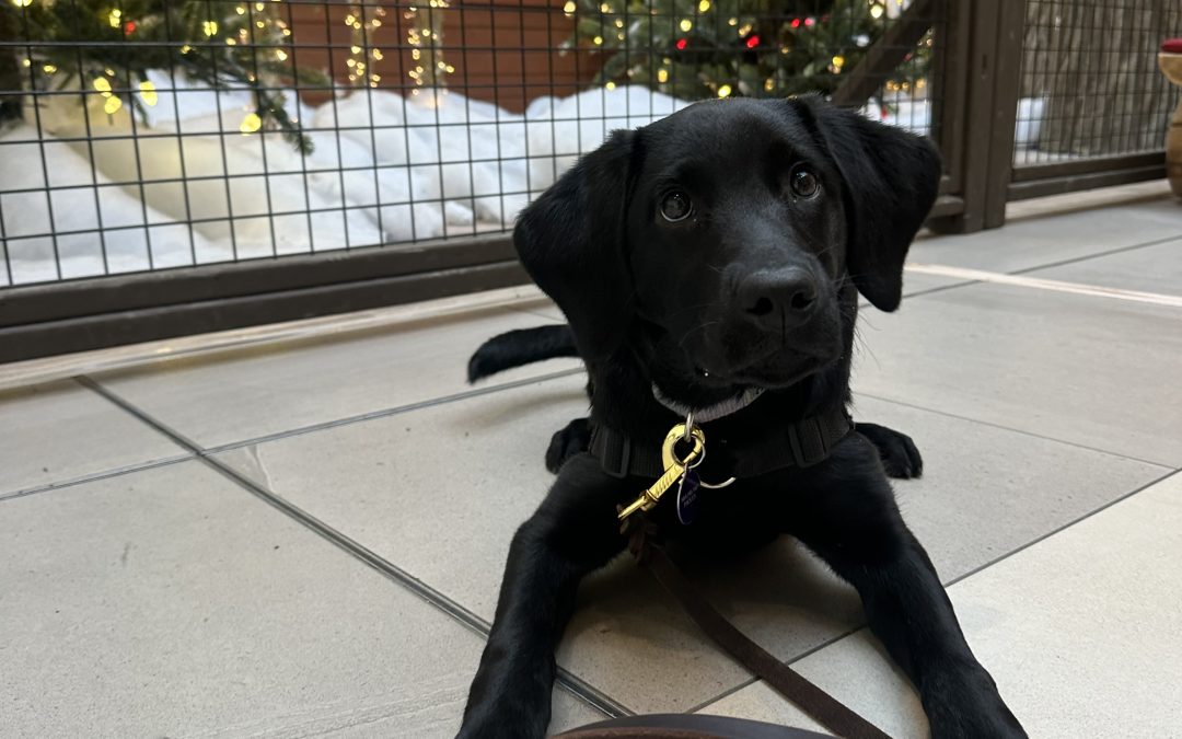 Beckett II | December 2025