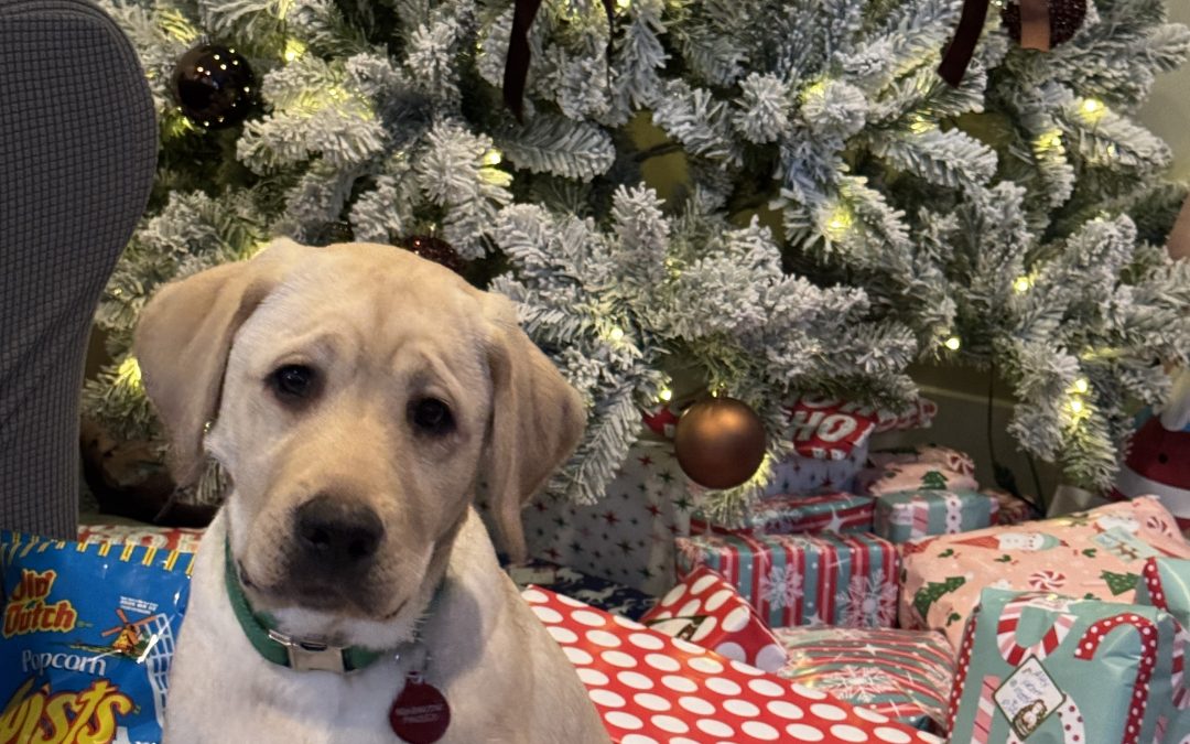 Riff | December 2025